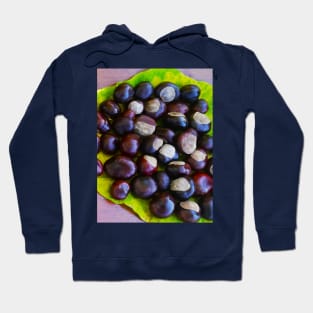 Cozy Autumn Vibes Chestnuts Landscape Photo Hoodie